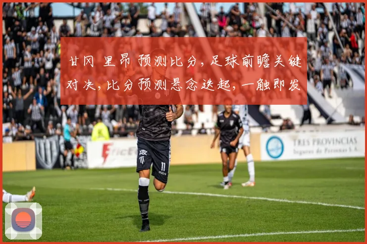 甘冈 里昂 预测比分,足球前瞻关键对决,比分预测悬念迭起,一触即发