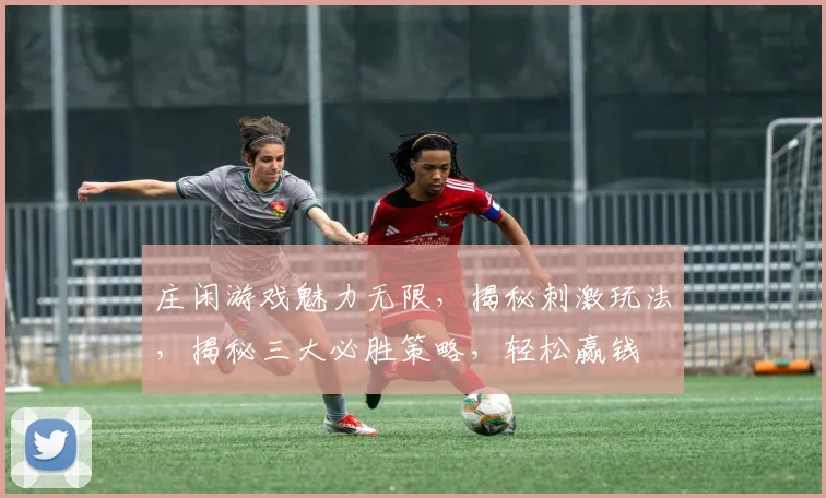 庄闲游戏魅力无限，揭秘刺激玩法，揭秘三大必胜策略，轻松赢钱